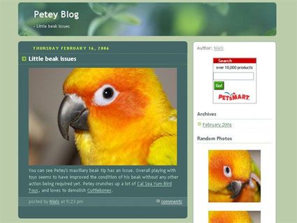 Blog with template example