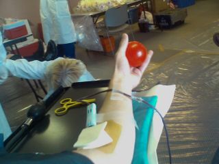 I should bleed blue and gold