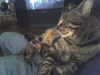 Butters sleeping