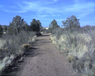 Trail