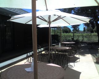 Kelham Vineyards