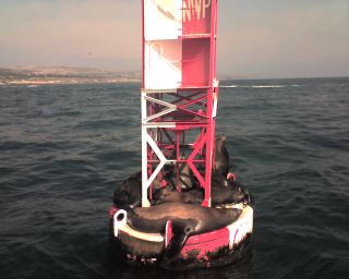 NWP Buoy